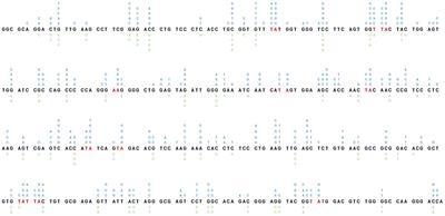 Corrigendum: Expression of constitutive fusion of ubiquitin to PCNA restores the level of immunoglobulin A/T mutations during somatic hypermutation in the Ramos cell line